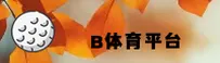 b体育(Bsport)官方网站 - 官方正版下载
